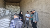 بازدید کمیته پایش کودی  استان گلستان از مراکز توزیع کود  در شهرستان علی آباد کتول