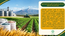 تکلیف جدید به مدیرعامل شرکت خدمات حمایتی کشاورزی در خصوص راهبری زنجیره تامین و اجرای طرح خودکفایی کودهای شیمیایی
