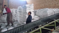 بازدید میدانی خدابخشی مدیر شرکت خدمات حمایتی کشاورزی استان سمنان و صباغیان معاون و مسئول فنی شرکت از انبار های سازمانی استان