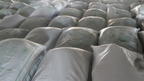 توزیع 3880 تن کود فسفاته در مازندران