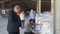    پایش نهاده‌های کشاورزی در کرمان؛ انجام عملیات کنترل کیفی و نمونه‌برداری از پارت ۶ کود سولفات پتاسیم گرانوله در انبار مرکزی