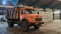 بیش از ۲۲۷۲ تن کود کشاورزی در ۹ ماه نخست سال زراعی جاری در باغات کیوی گیلان توزیع شد