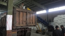 نقش حمایت‌های شرکت خدمات حمایتی کشاورزی گیلان در ارتقای بهره‌وری باغات مرکبات استان