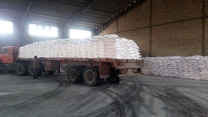 ذخیره سازی 1400 تن کود سولفات پتاسیم گرانوله در انبارهای شرکت خدمات حمایتی کشاورزی استان کرمانشاه