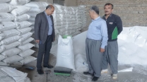 بازدید میدانی مدیر و کارشناسان شرکت خدمات حمایتی کشاورزی استان کردستان از انبار کارگزاران شهرستان دهگلان