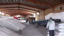 توزیع نهاده کشاورزی بین انبار کارگزاران شهرستان قم از ابتدای سال جاری