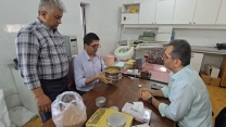 بازرسی ونمونه برداری از بذر گندم به منظور مانیتورینگ و‌کنترل آفات انباری در انبار قرق گلستان